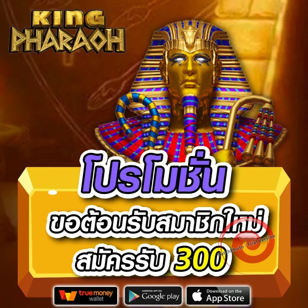 เว็บใหม่ n88